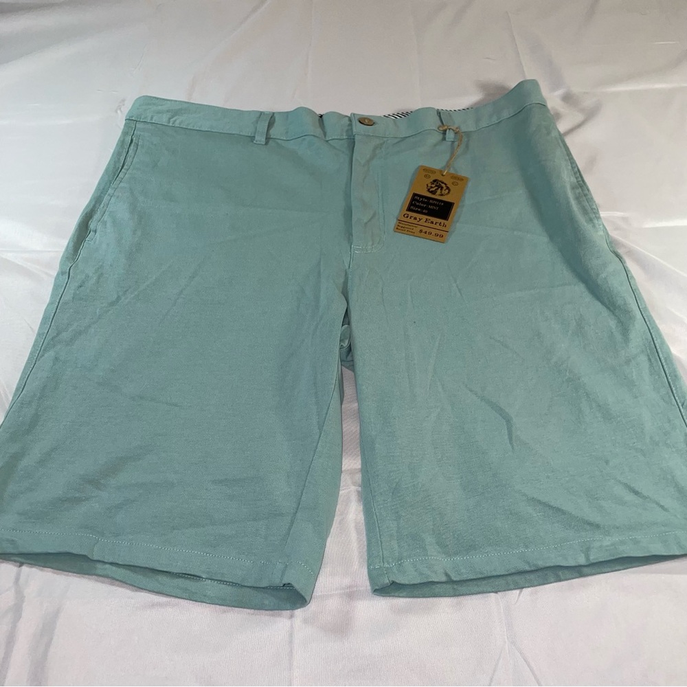 Gray Earth Mens Chino Shorts Size 40 Mint‎ Green Cotton Flat Front Casual RP1118